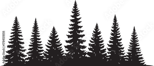 Minimalist Black and White Stylized Evergreen Trees Graphic Illustration