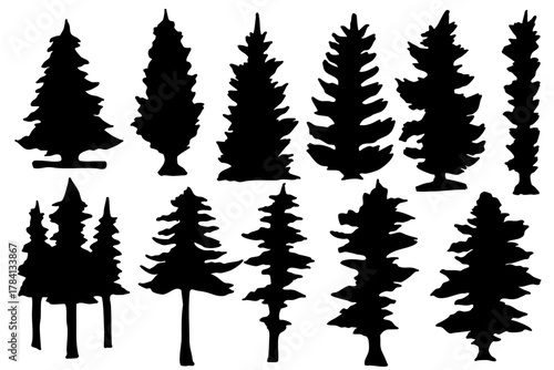 針葉樹の線画とシルエットセット ステンドグラス風クリスマスデコレーション ベクターイラスト