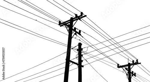 Utility poles with multiple overhead power lines, electrical distribution vector illustration, urban infrastructure artwork, 