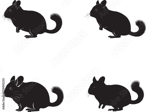 Chinchilla Silhouette Set – Rodent Vector Illustrations in Multiple Poses on White Background