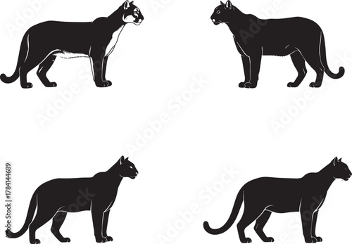 Big Cat Silhouettes – Panther, Leopard, Cougar Vector Set on White Background