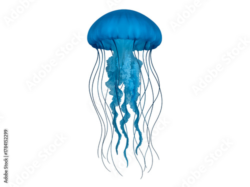 Blue Jellyfish on Transparent Background Glowing Underwater Sea Creature