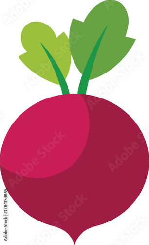 Fresh beetroot salad icon on a clean white background
