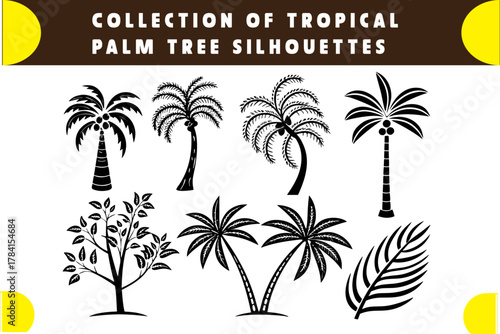 Tropical Palm Tree Silhouettes: A curated collection of diverse silhouettes, capturing the elegant forms of palm trees, perfect for conveying a sense of tropical allure.