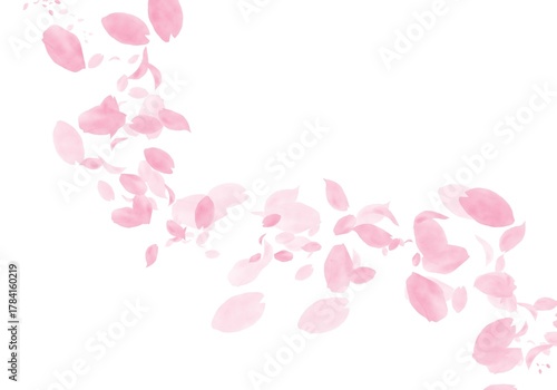 Watercolor Cherry Blossom Petals Blowing in the Wind on White Background | Spring Sakura Background, Soft Pink Floral Design