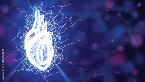 Illustration of white wavy lines and intersections forming the shape of a human heart. Modern style on a dark blue background. Used in medicine, commerce, industry, and education.