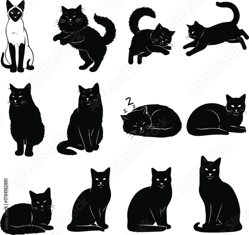 KINDS OF DIFFERENT CAT VECTOR ART SILHOEETTE WITH WHITE BACKGROUND