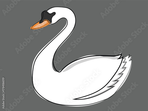 Swan in continuous line drawing