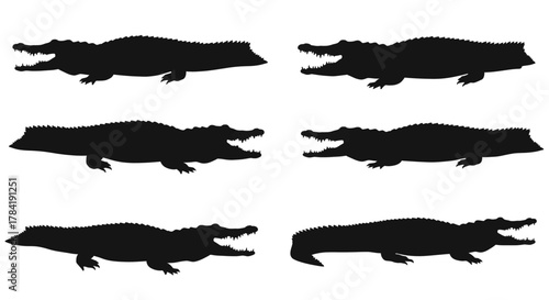 Silhouettes of Crocodiles in Various Poses Depicting Wildlife.