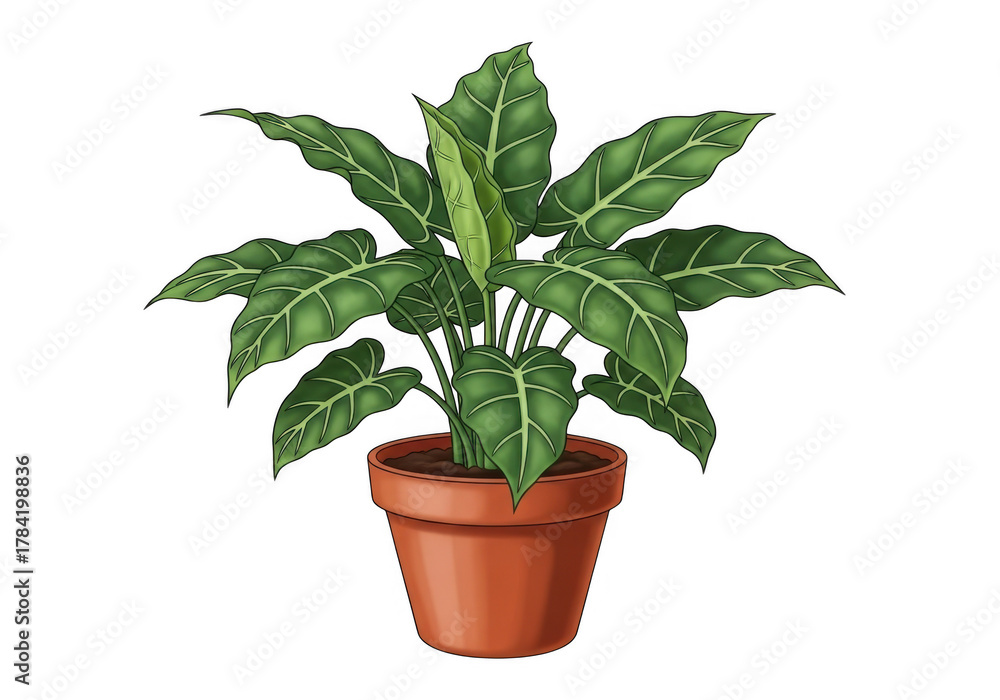 Fototapeta premium Healthy green indoor potted plant with lush leaves isolated on transparent background