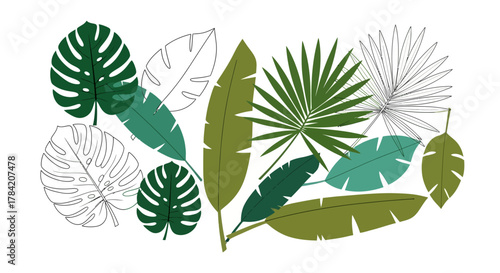 Vibrant tropical foliage collection featuring monstera and palm leaves in lush green and teal tones, perfect for modern design projects