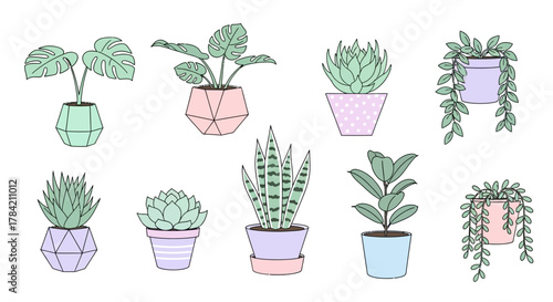 Vibrant collection of potted houseplants featuring monstera, succulent, snake plant, and trailing vines in modern geometric pots