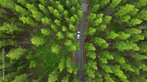Aerial view of dark green forest road and white electric car Natural landscape and elevated roads Adventure travel and transportation and environmental protection concept	