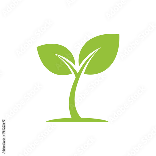 Green sprout with two leaves, symbolizing growth and nature.