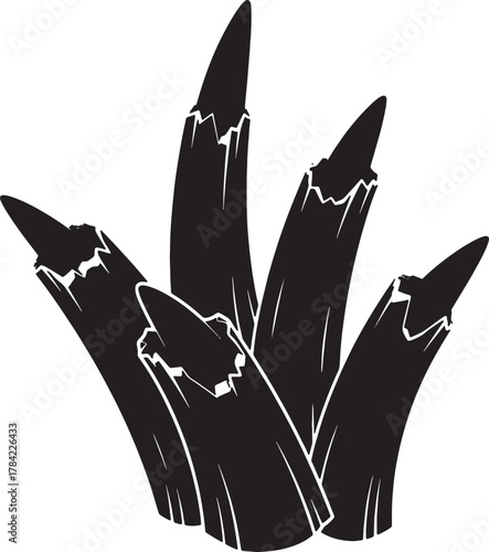 Charred Wood Silhouette: A stark black and white silhouette of charred wood remnants, showcasing textures and patterns created by fire, a symbol of transformation.