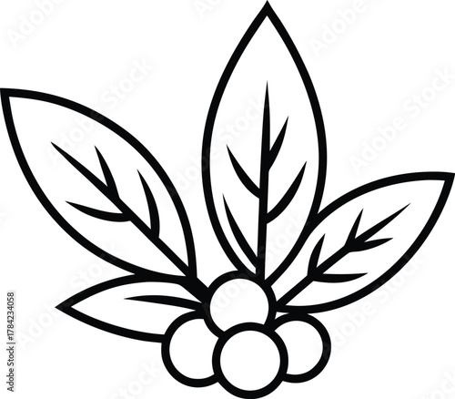 Herbs And Spices Line Art Transparent Background