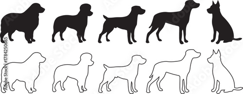 Dog Breed Silhouettes Vector Set - Various Dog Shapes Black Outline Collection