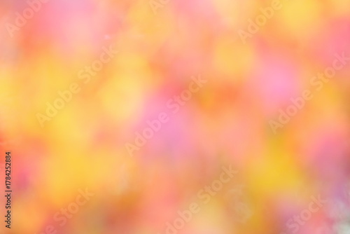 紅葉したカエデの葉のアウトフォーカス