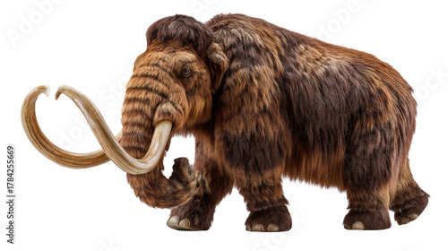 Giant woolly mammoth: A majestic woolly mammoth with impressive tusks stands tall, its thick, shaggy coat. a vivid reminder of prehistoric giants.