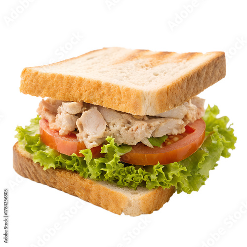 Tuna Sandwich isolated on white background