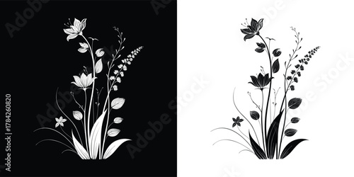 Black and white illustration of delicate wildflowers and foliage, botanical art, isolated on white background