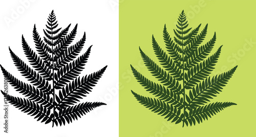 Elegant fern silhouette on white and green backgrounds offering classic botanical charm for nature-inspired designs and serene organic aesthetics