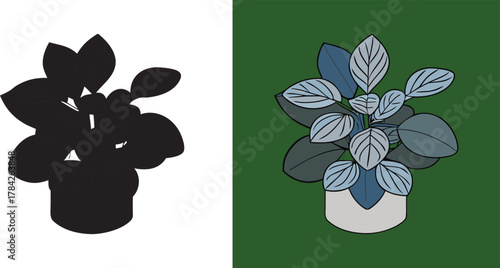 Stylish potted plant contrasts bold silhouette and colorful design offering versatile creative assets for your project, ideal for graphic needs and home decor