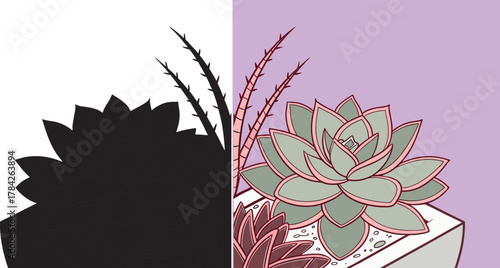 Charming succulent arrangement in modern pot with half shadow for creative design projects and botanical themes, adding a touch of nature indoors