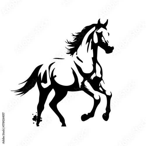 Foto horse vector illustration
