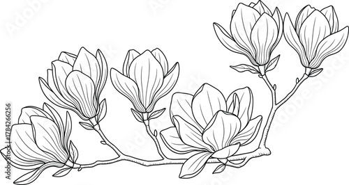 Magnolia Branch Line Art – 7 Blooming Flowers with Leaves and Buds