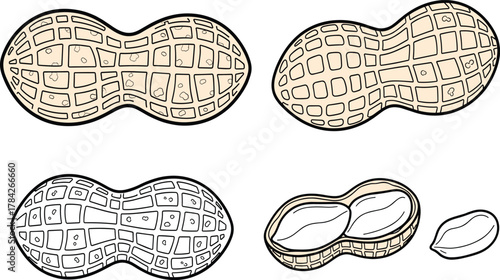 Peanut Illustration Set – Shell Variants and Kernel in Stylized Black, Tan, and Grayscale
