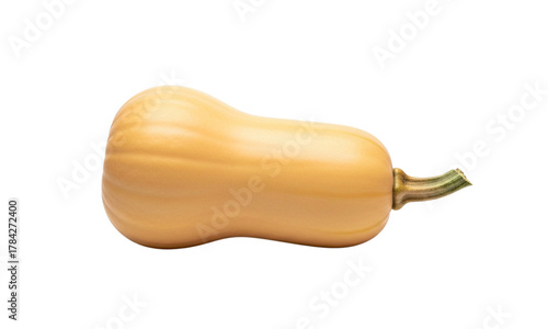 Studio shot of a butternut squash on a white background.