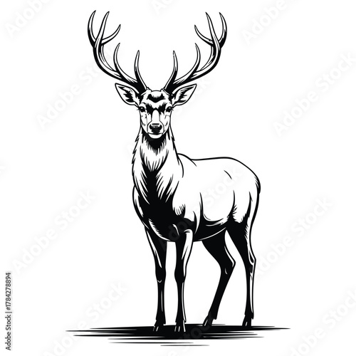 deer silhouette vector