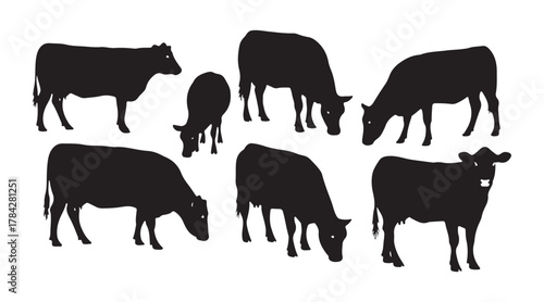 A group of silhouettes in black depicting female beef cows on a white background. These are Aberdeen Angus livestock.
