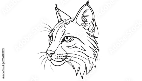 A grayscale, side-profile illustration of a bobcat's head with detailed lines, set against a stark white background
