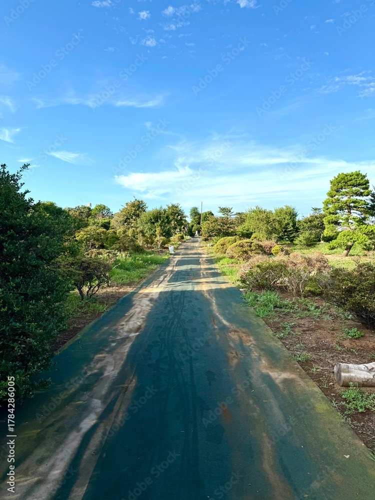 Fototapeta premium Yachimata Chiba Japan