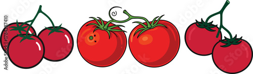 Red Tomatoes on Vine Fruit Vegetable Food Vector Illustration Set