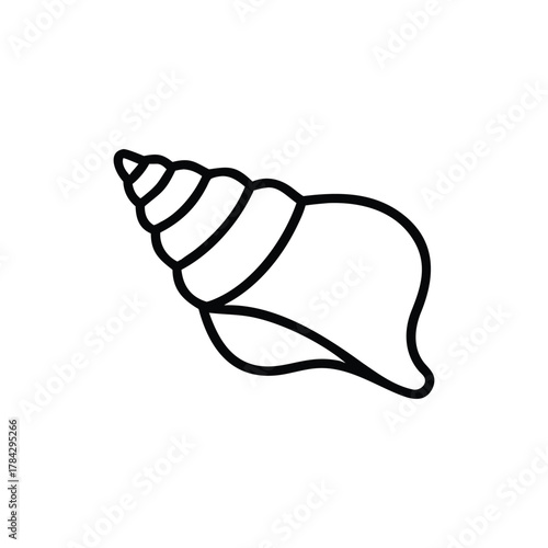 Blackandwhite line drawing of a spiral seashell