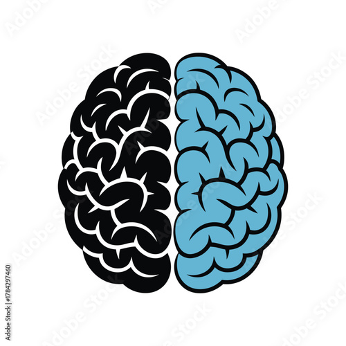 Brain hemispheres illustration