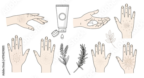 hand drawn vector illustration of human hand