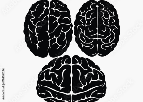 Inspiring brain power with a jolt of creative lightning, sparking innovation and insightful ideas now