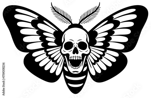 Death Moth Vector
