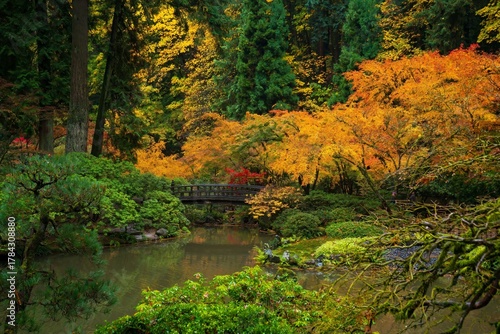 bridge over a pond in a japanese garden
