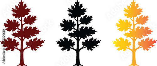 Isolated vector illustration set of deciduous trees with autumn foliage