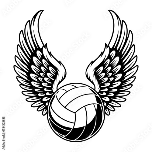 Volley Ball Wings