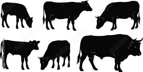 Black silhouette illustration of cows and calves in different poses, grazing and standing, vector design for farm animals, livestock, and agriculture concept art
