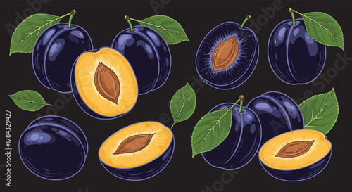 A vibrant collection of fresh purple plums, illustrated with some whole and others halved to showcase their golden flesh and pits, complemented by green leaves on a dark background.