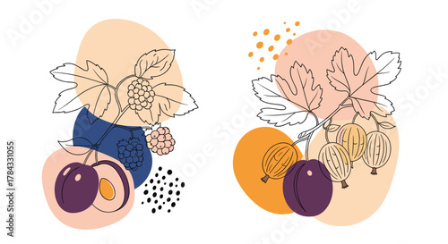 Modern minimalist illustrations featuring various berries and plums on branches with abstract organic shapes.