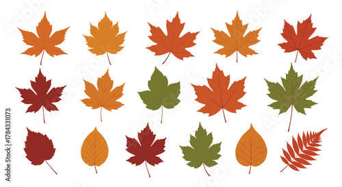 A vibrant collection of diverse autumn leaves in various warm hues and shapes, perfect for seasonal designs.