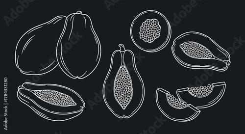 Set of hand-drawn papaya illustrations in various forms, including whole fruits, halves, and slices, in a white outline style on a black background.
